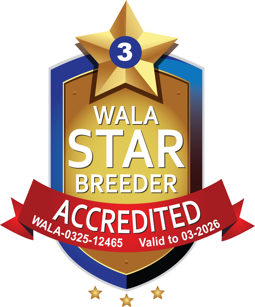 wala logo